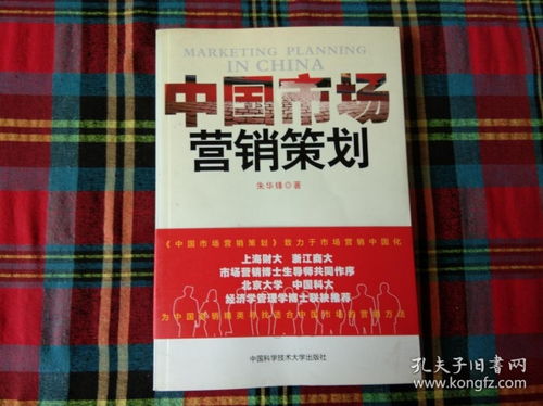 中國市場營銷策劃 洞察、策略與本土化執(zhí)行